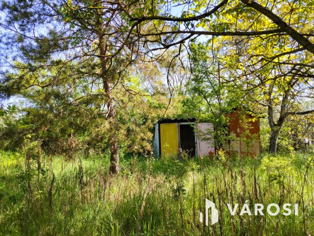Két eladó zártkert egyben a Jánosszállási kertsoron