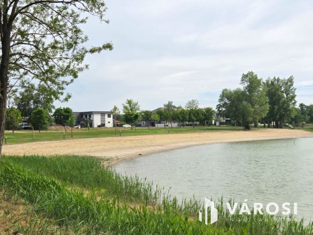 Vízparti Luxusotthon Dunaharasztin - 2