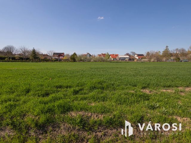 Van még eladó telek Deszk, Szőlőskert lakóparkban! - 4