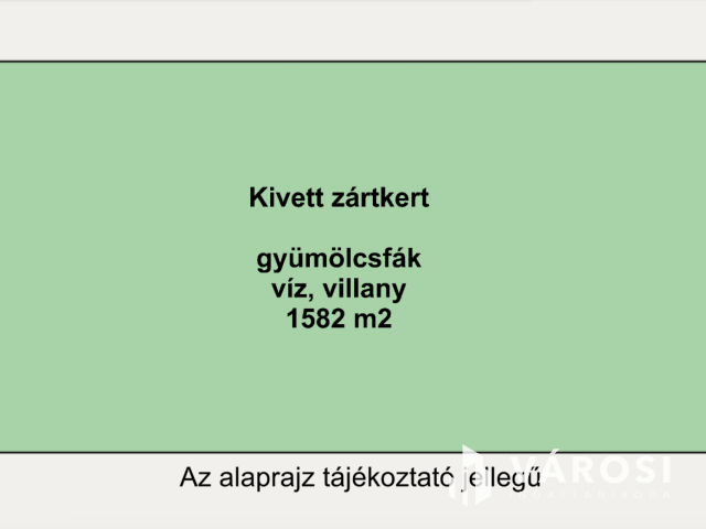Gyümölcsfáim tetején